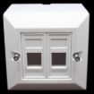 תמונה של קופסאת פלסטיק לשני מחברים RJ-45 Plastic box Cat5